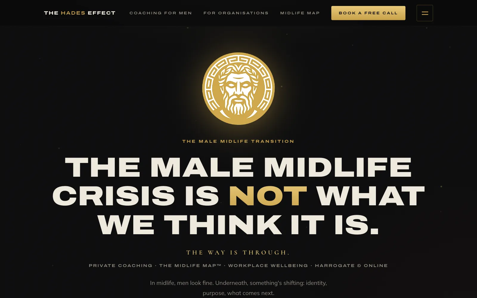 The Hades Effect homepage with a gold medallion on black